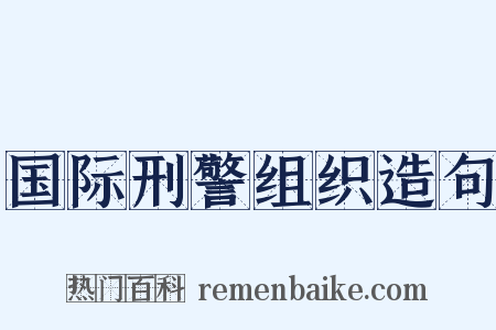 国际刑警组织造句是什么意思的图片
